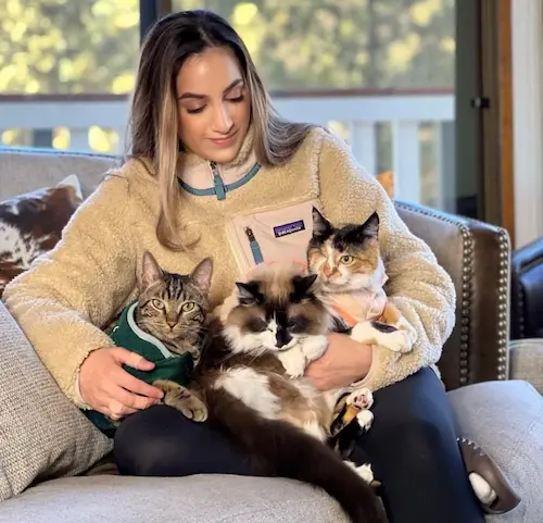 Fifi and her cats